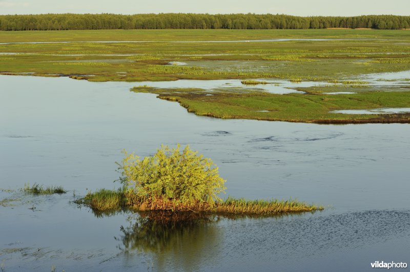 Vallei van de Biebrza