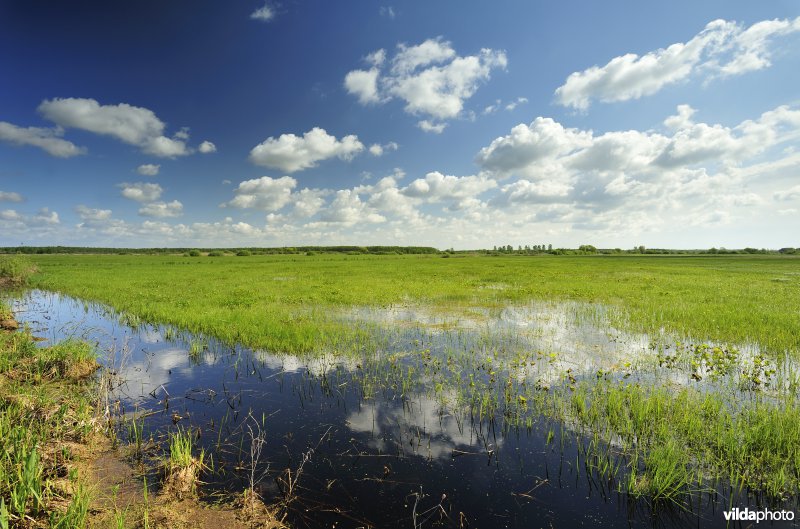 Vallei van de Biebrza