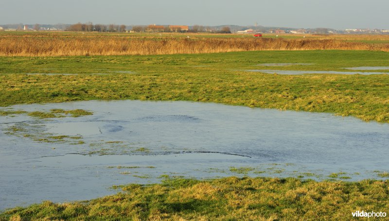 Uitkerkse Polders