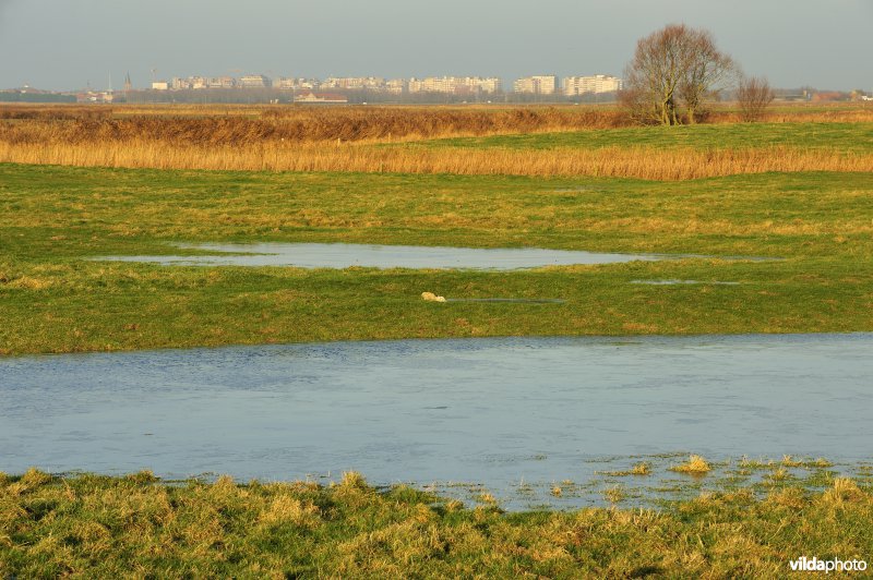 Uitkerkse Polders