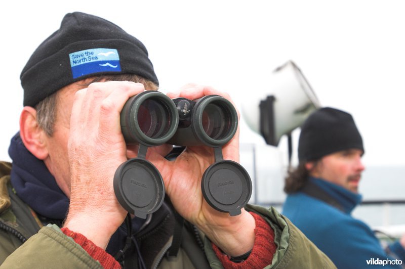 Vogels monitoren op de Noordzee