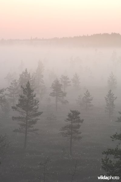 Natuurreservaat Nigula