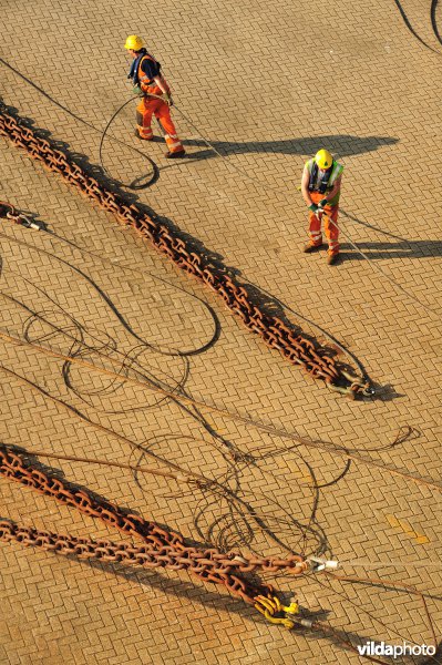 Arbeiders in de haven van Zeebrugge