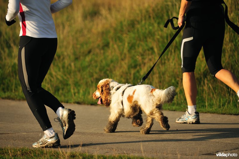 Joggers met hond