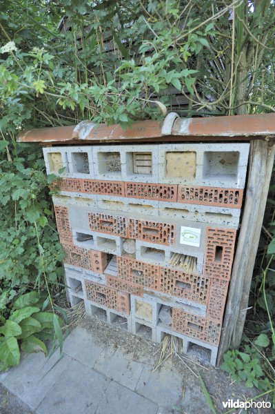 Nestkast voor solitaire bijen