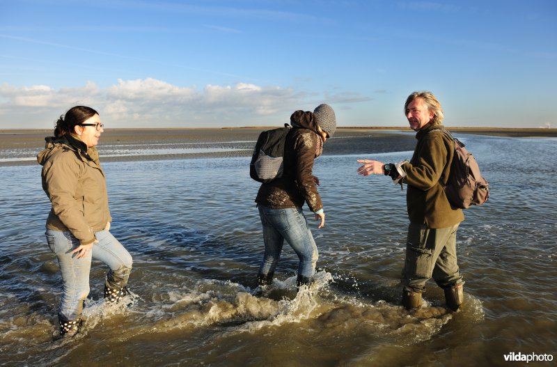 Excursie in het Verdronken Land van Saeftinghe