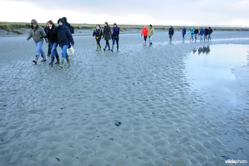 Excursie in het Verdronken Land van Saeftinghe