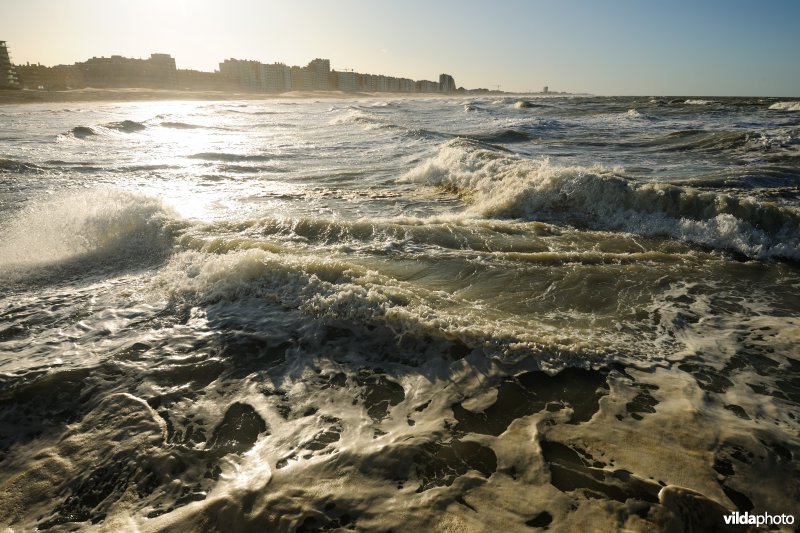 Westerstaketsel te Nieuwpoort