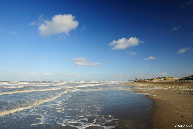 Strand aan de Zeebermduinen