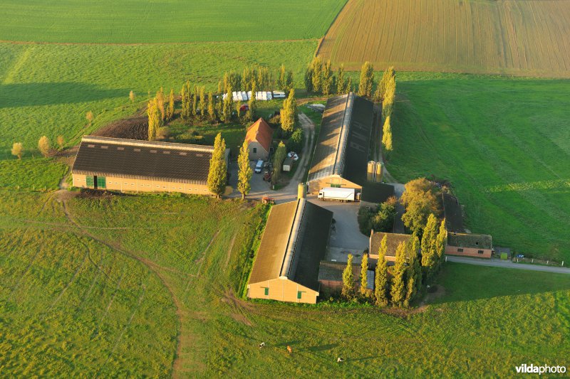 Boerderij