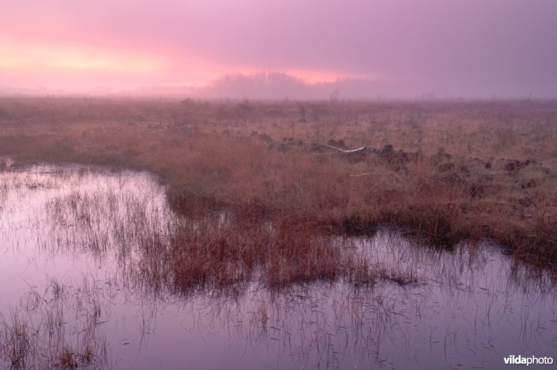Haaksbergerveen