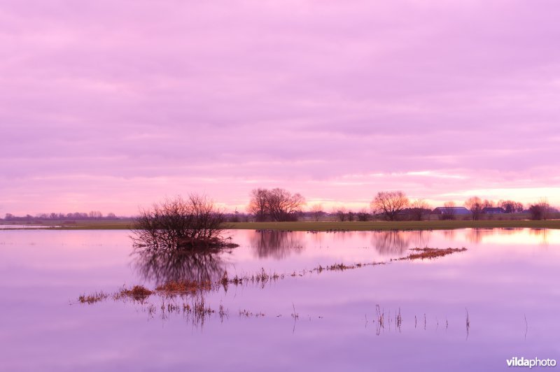 Overstroomde IJssel-uiterwaarden