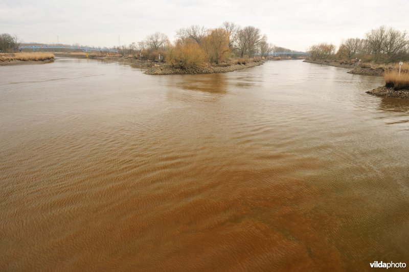 Monding van de Beneden-Nete in de Rupel
