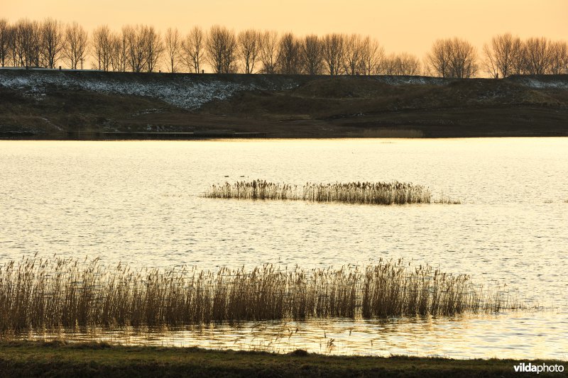 Rietveld Kallo 