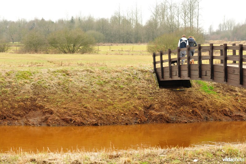 Vallei van de Grote Nete