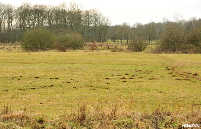 Vallei van de Grote Nete