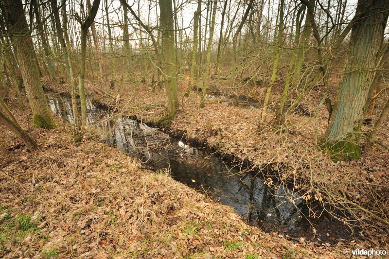 Vallei van de Grote Nete