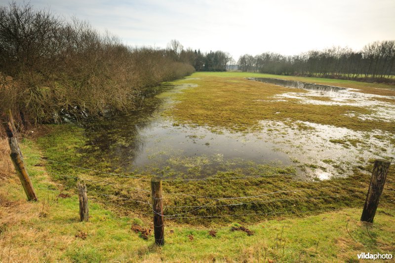 Vallei van de Grote Nete