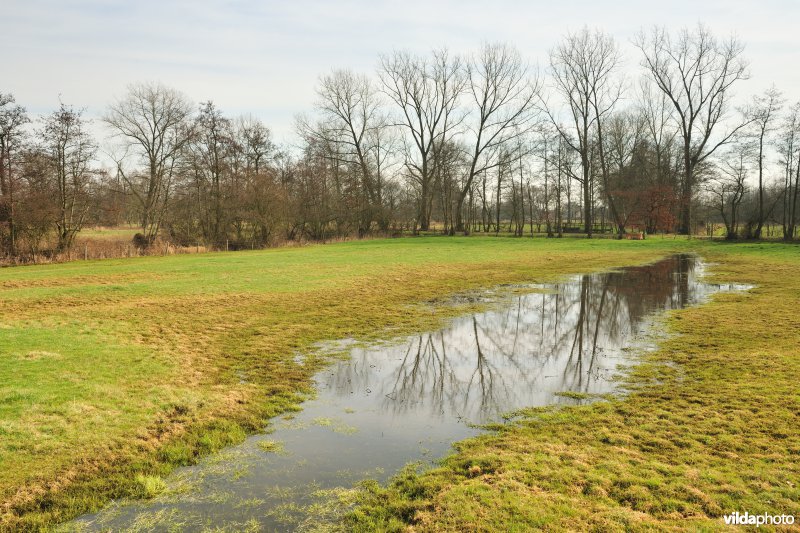 Vallei van de Grote Nete