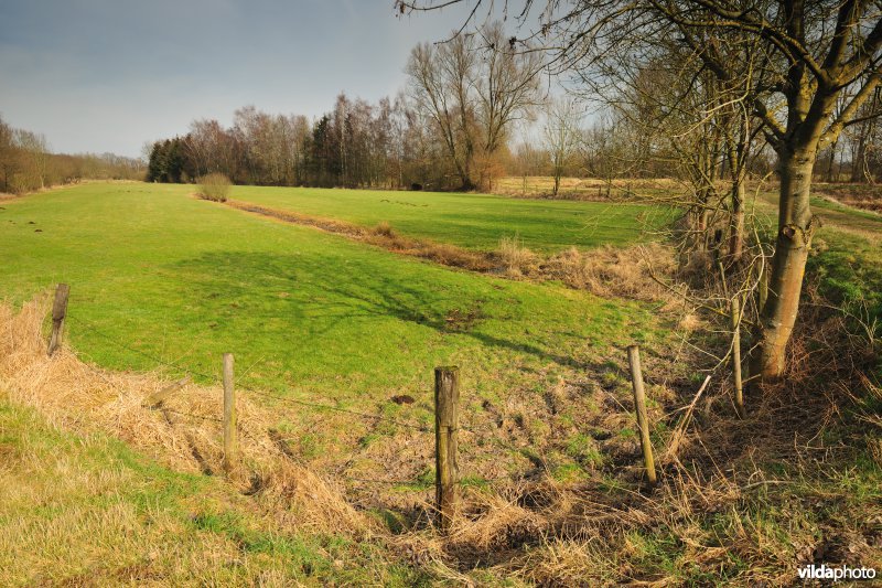 Vallei van de Grote Nete