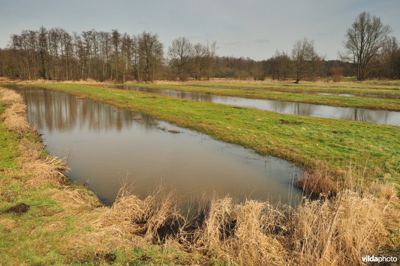 Vallei van de Grote Nete