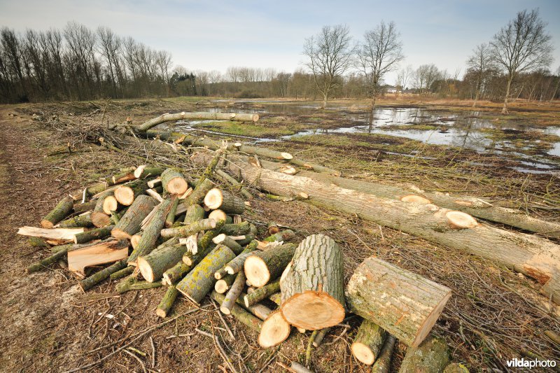 Vallei van de Grote Nete