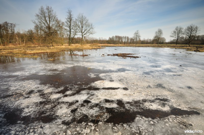 Vallei van de Grote Nete