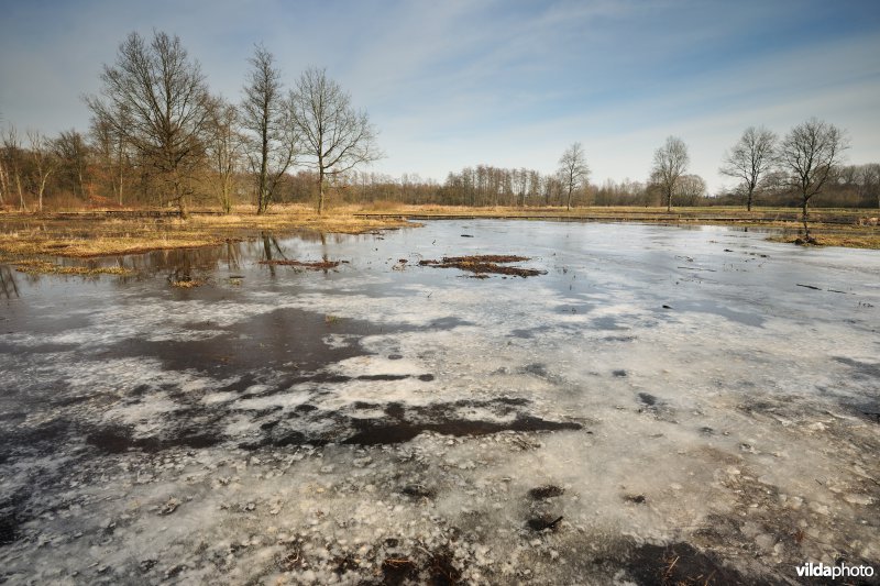 Vallei van de Grote Nete