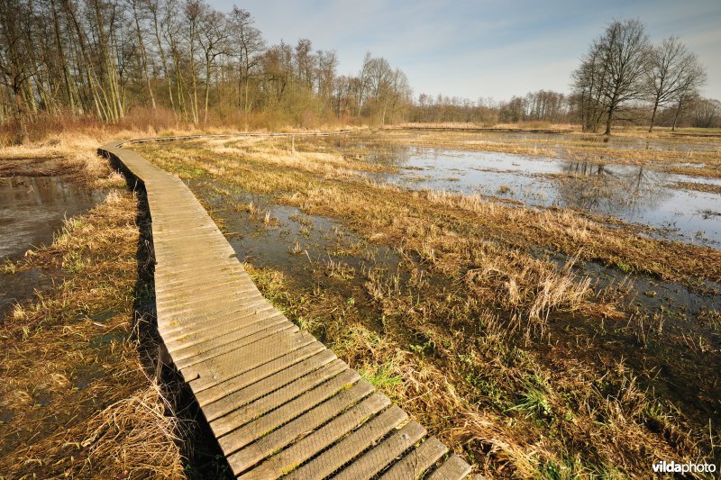 Vallei van de Grote Nete