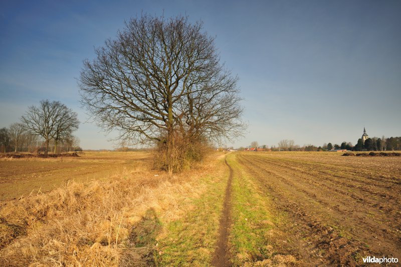 Dijlevallei Rijmenam: Pikhaken