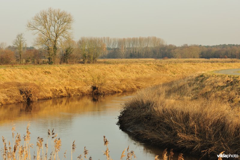 Dijlevallei Hollaken-Hoogdonk