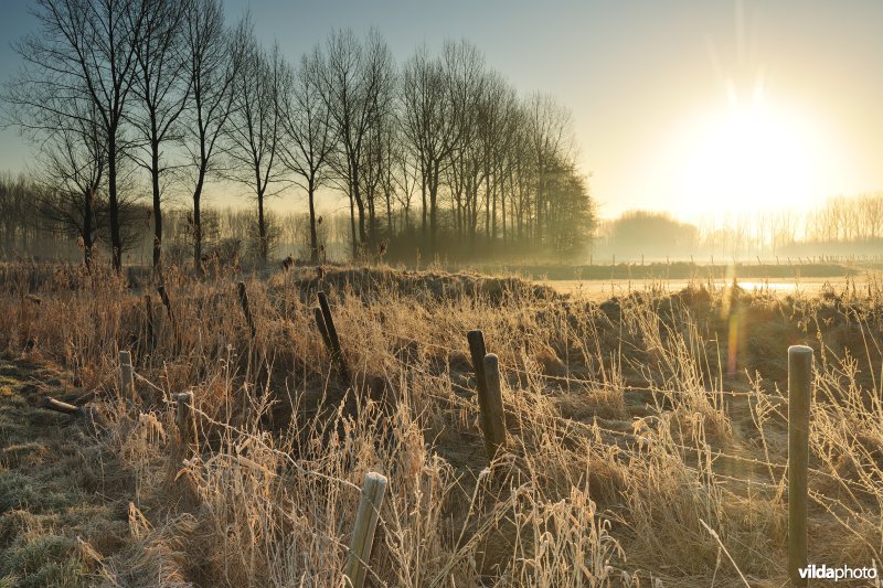 Weijmeerbroek