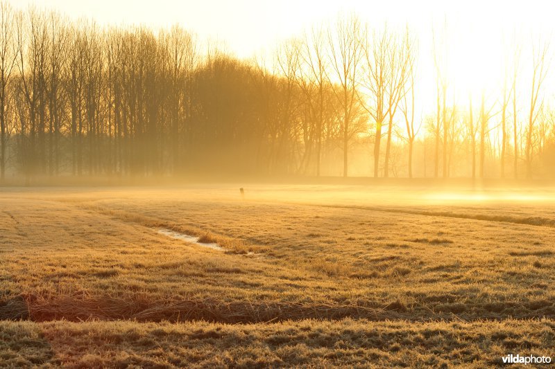 Weijmeerbroek