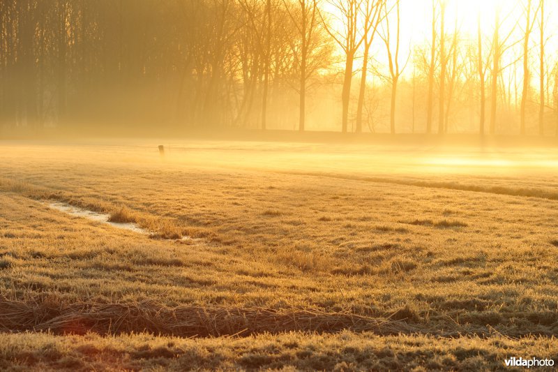 Weijmeerbroek