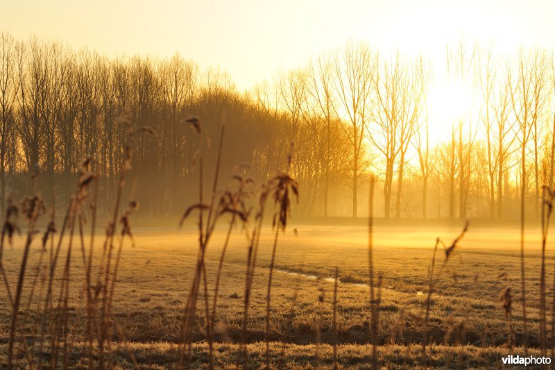 Weijmeerbroek