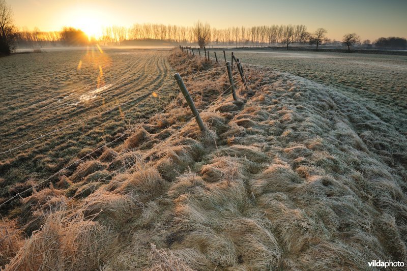 Weijmeerbroek