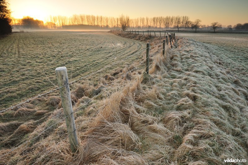 Weijmeerbroek