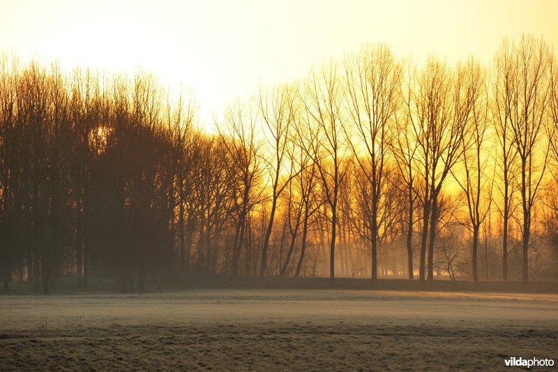 Weijmeerbroek