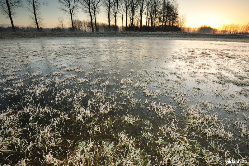 Weijmeerbroek