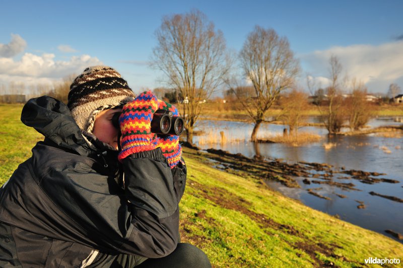 Vogelkijker in de Wijmeers