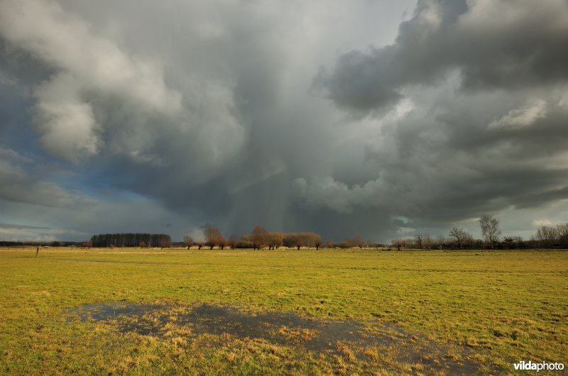 Vingelinkbeekvallei in de Kalkense meersen