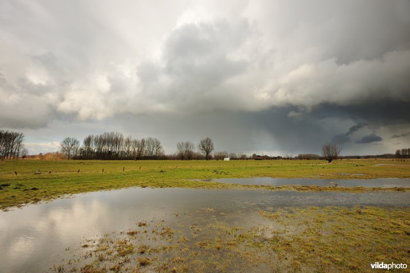 Vingelinkbeekvallei in de Kalkense meersen