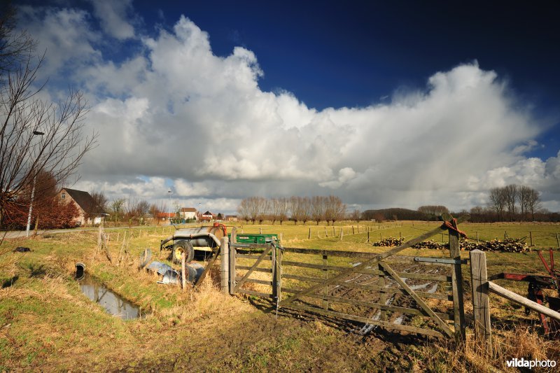 Aard in de Kalkense Meersen