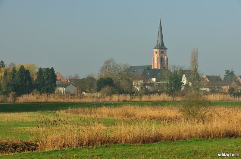 Paardeweide