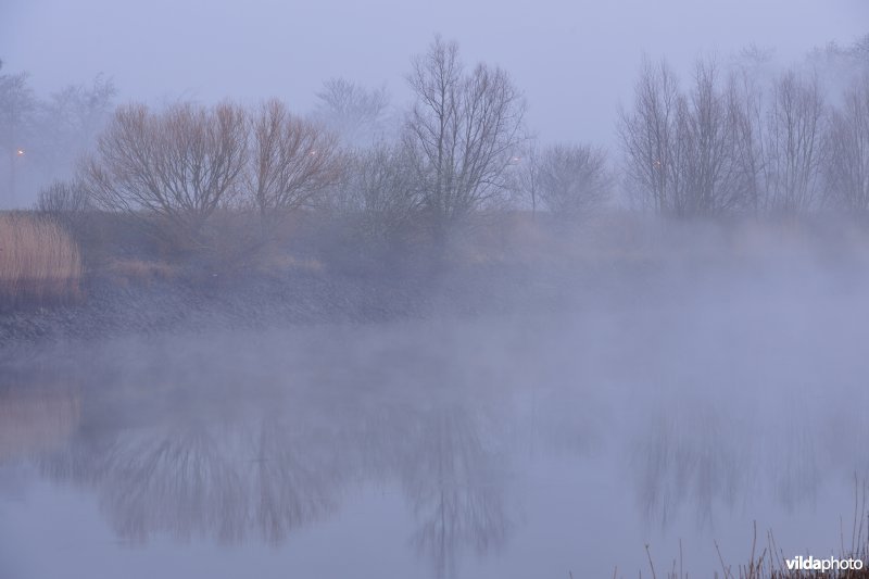 De Schelde te Uitbergen