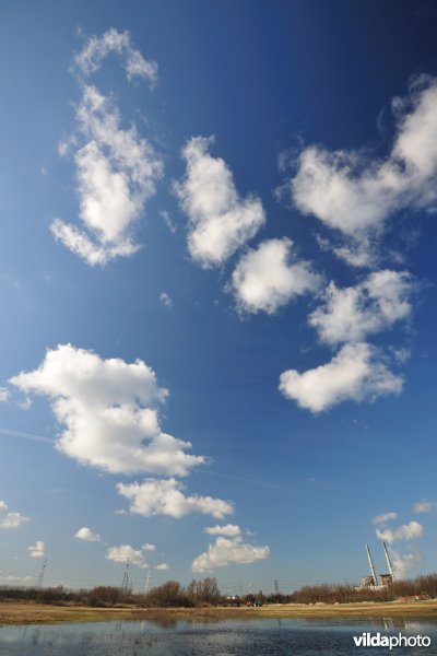 Vlakte van Zwijndrecht