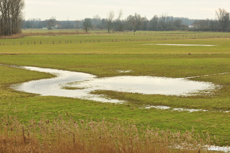 Zennegat