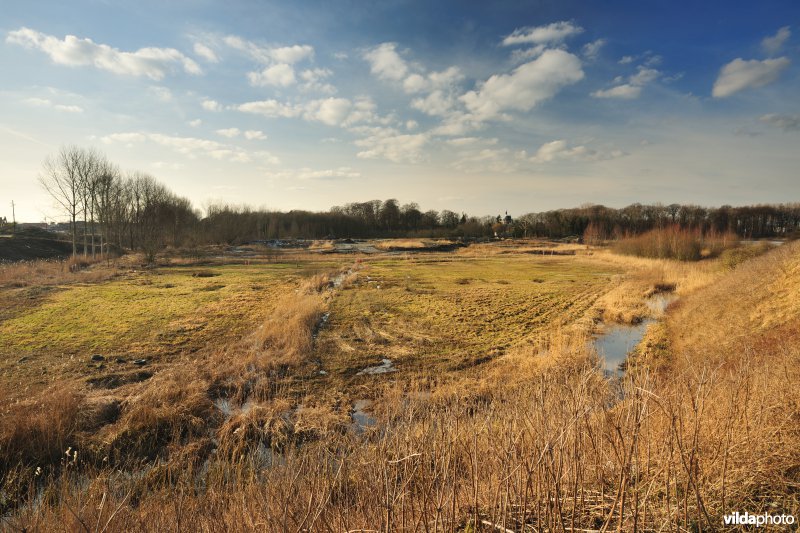 Schiphoekpolder