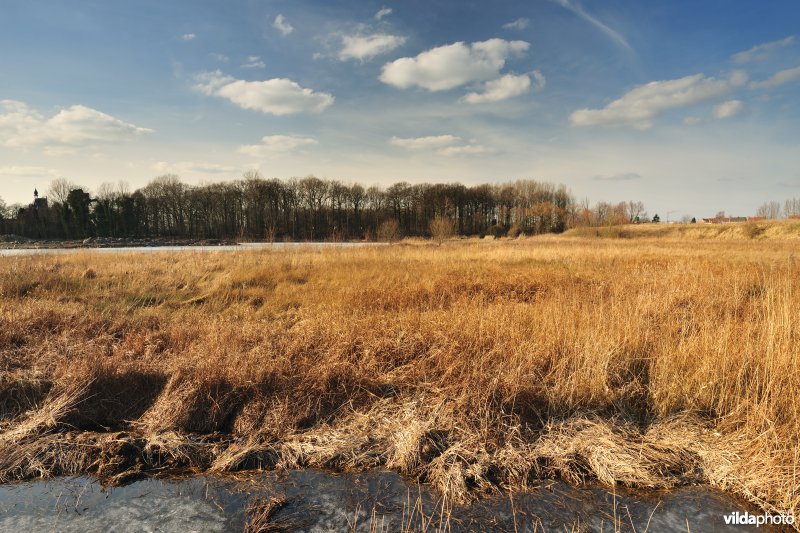 Schiphoekpolder