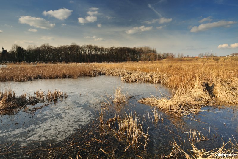 Schiphoekpolder